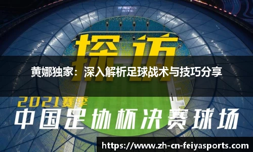 黄娜独家：深入解析足球战术与技巧分享